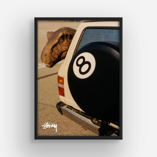 Stussy Dino