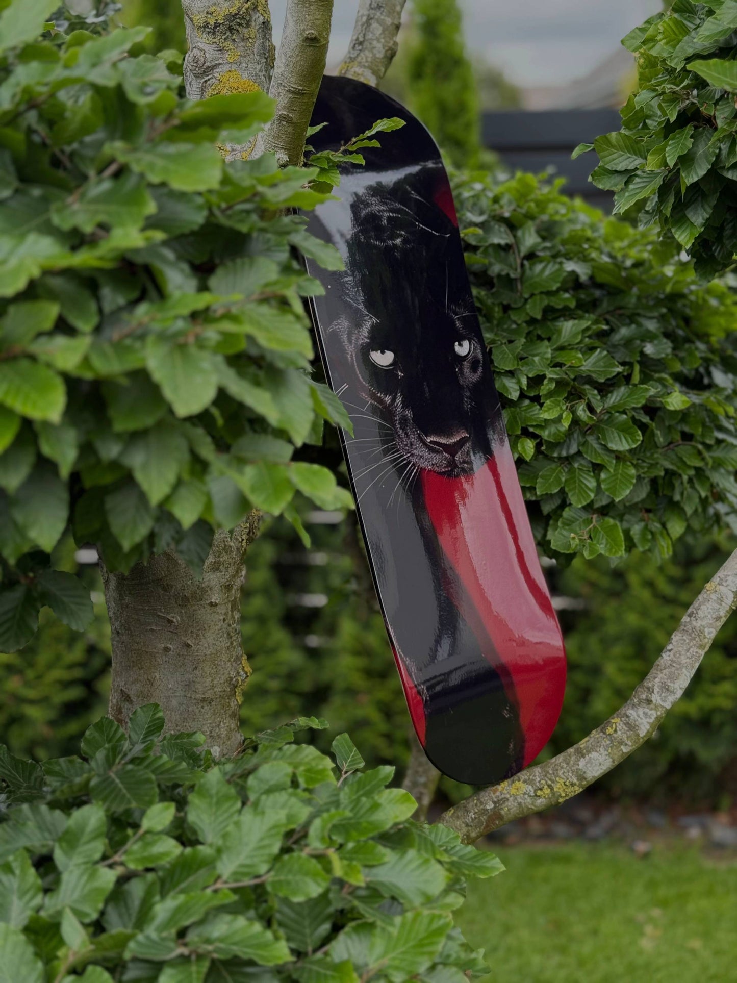 Customize Your Skateboard Deck